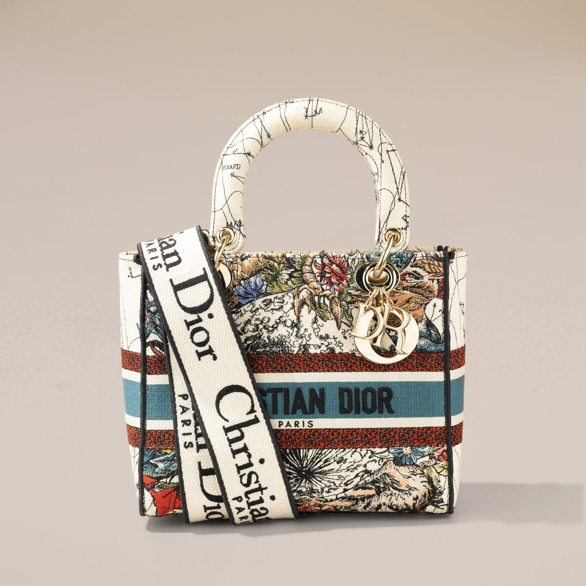 Christian Dior Medium Lady D-Lite, Latte Dior Constellation Embroidery — with strap
