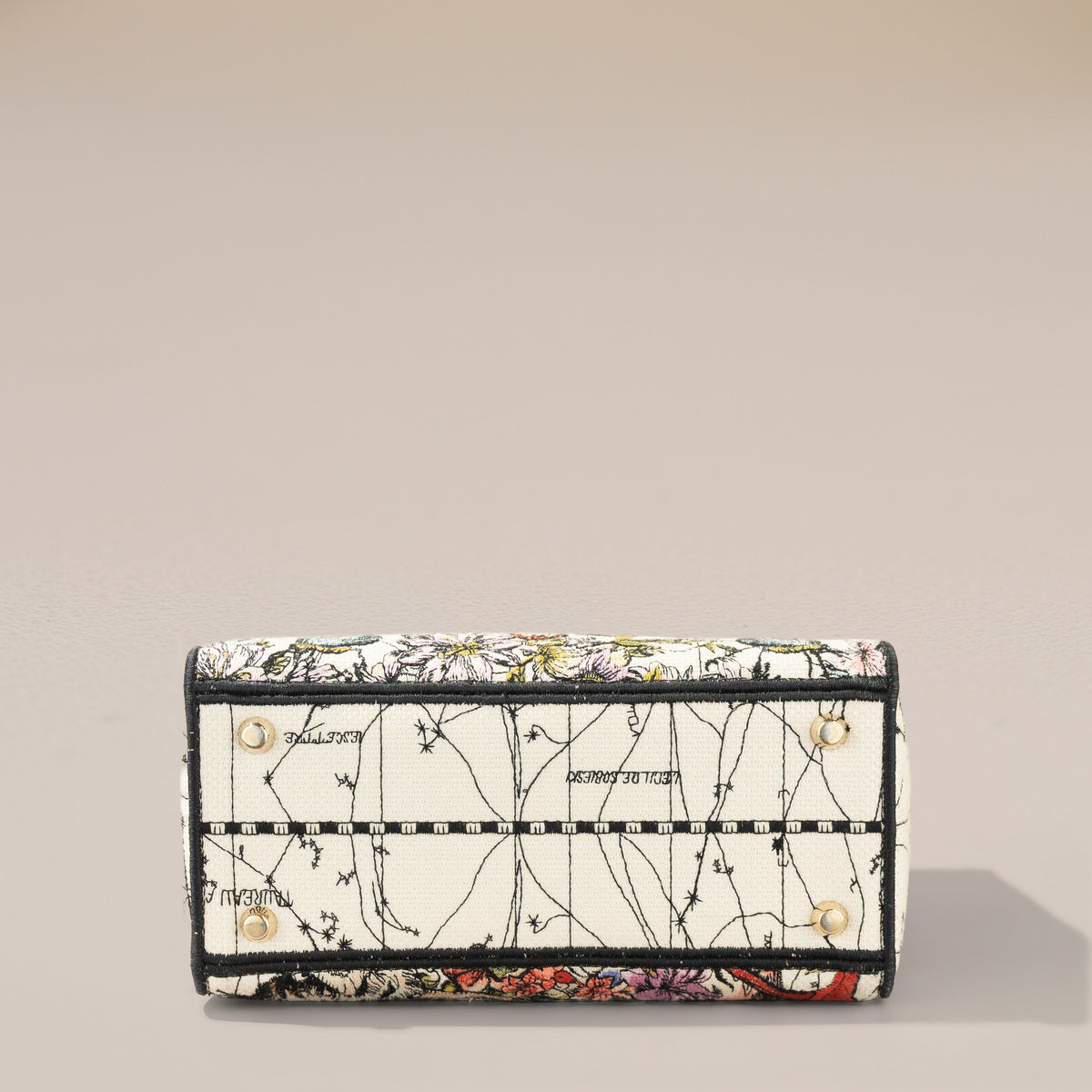 Christian Dior Medium Lady D-Lite, Latte Dior Constellation Embroidery — base